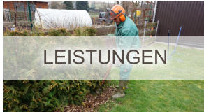 LEISTUNGEN